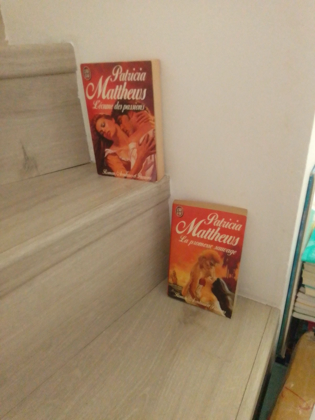 2 romances de Patricia Matthews – photo 3